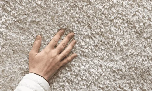Hand streicht über einen frisch gereinigten hellen Teppich